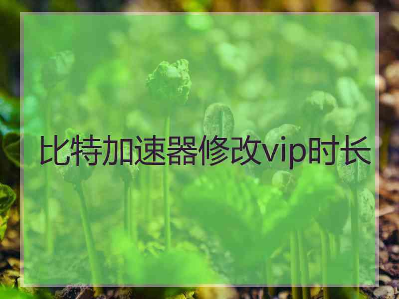 比特加速器修改vip时长 比特加速器修改vip时长